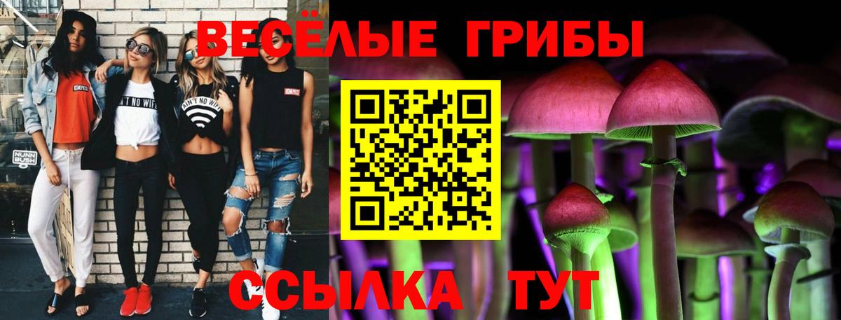 Грязи  Галлюциногенные грибы Magic Shrooms  Вход с VPN 