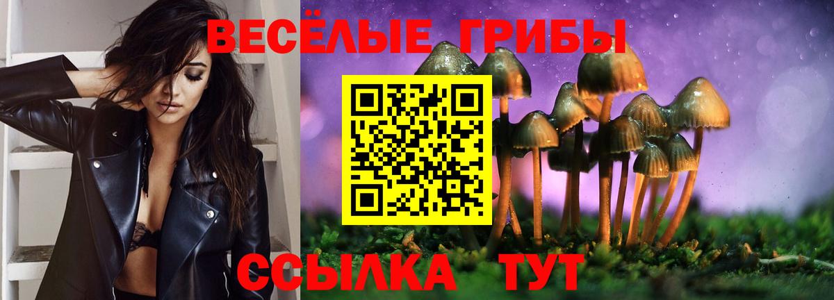 Псилоцибиновые грибы GOLDEN TEACHER Грязи